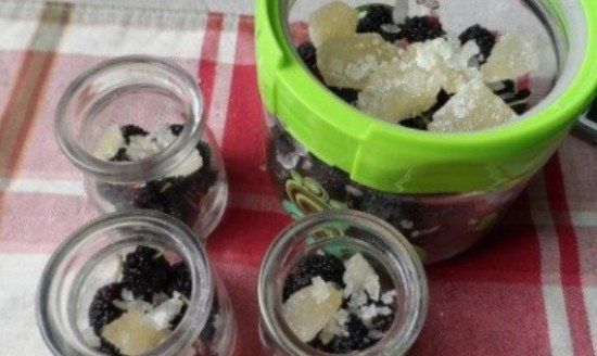 正宗桑葚制作酒方法圖解_正宗桑葚制作酒方法視頻_桑葚酒的正宗制作方法