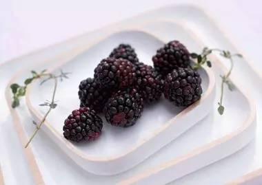 自釀藍莓酒的功效與作用_藍莓酒的做法 自釀_做法酒自釀藍莓好吃嗎