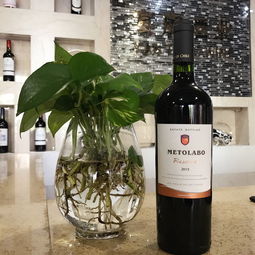 收藏洋酒價值有多少_收藏洋酒有價值嗎_洋酒有收藏價值嗎