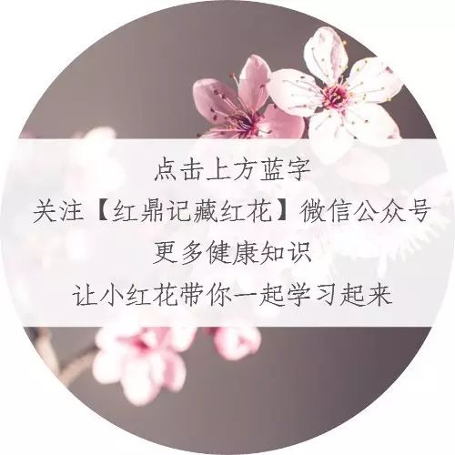 蛋酒的作用與功效_蛋酒的營養價值_蛋酒的功效與禁忌