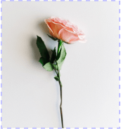 收酒有什么套路嗎_收酒有什么風(fēng)險_有收酒的嗎